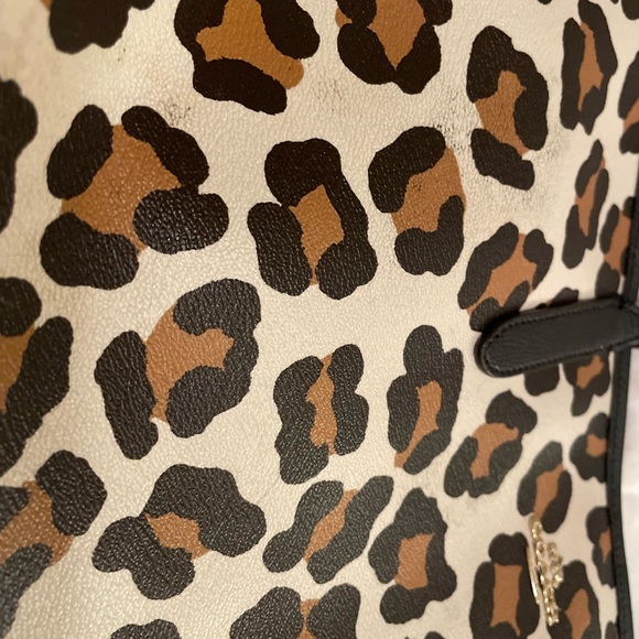 Authentic Coach - Picture 5 of 6